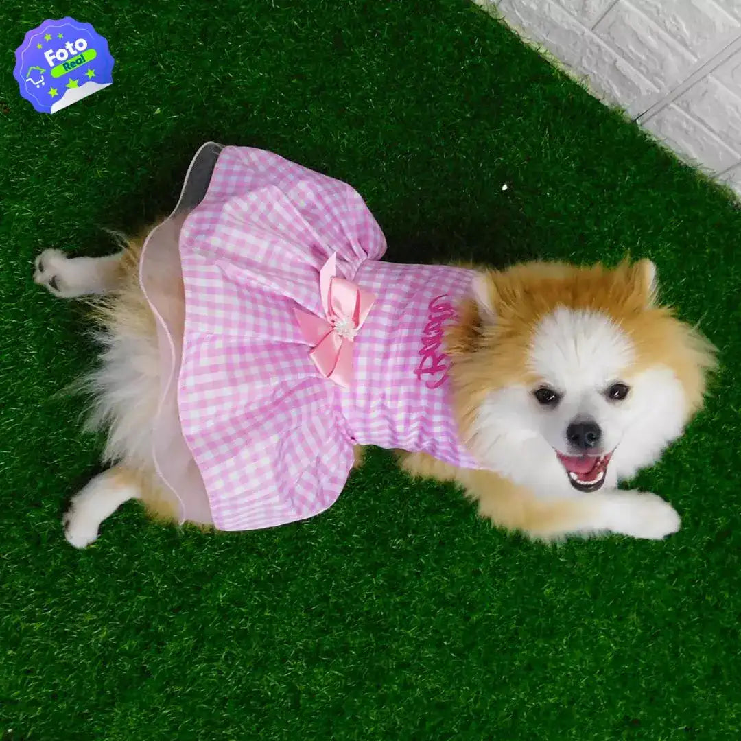 Disfraz Para Masotas 🐕🐈 (ENVIO GRATIS)