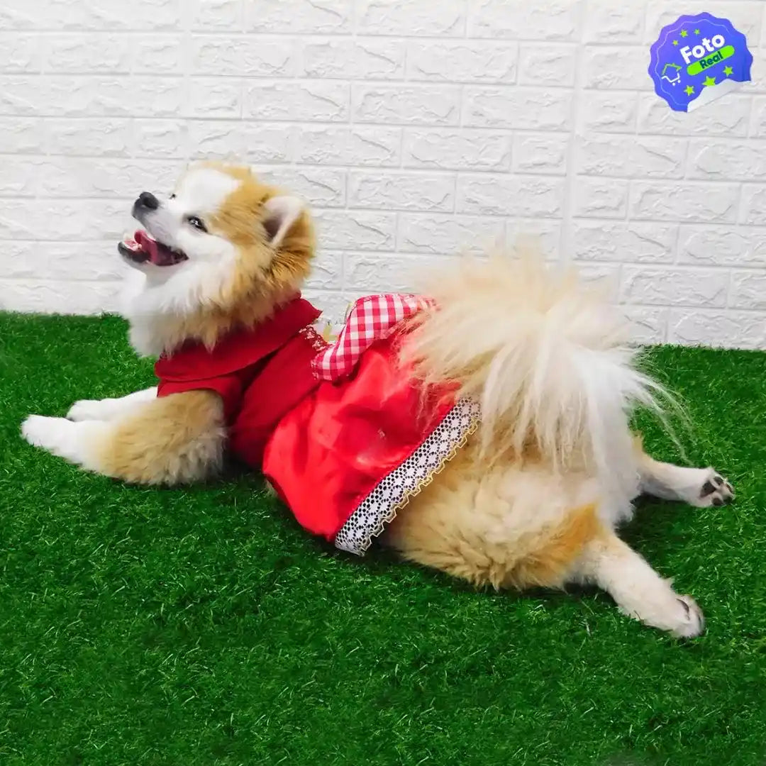 Disfraz Para Masotas 🐕🐈 (ENVIO GRATIS)