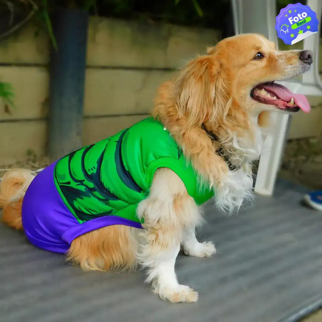 Disfraz Para Masotas 🐕🐈 (ENVIO GRATIS)