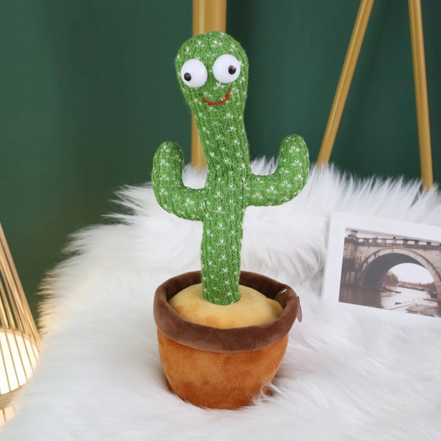 cactus dancging music bailarin